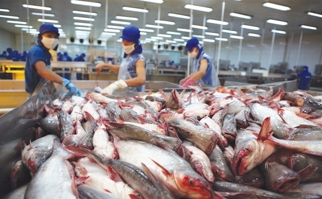 Vietnam proyecta ingresar 2400 millones de dólares por ventas de pescado Tra en 2019 - ảnh 1