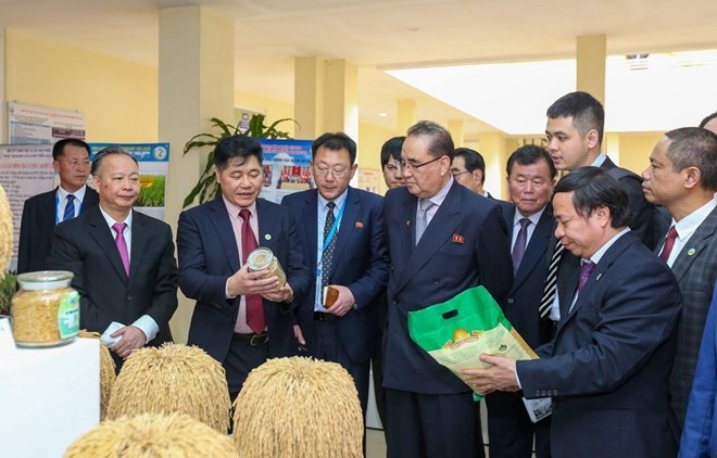 Delegación norcoreana conoce sobre sector agrícola de Vietnam - ảnh 1