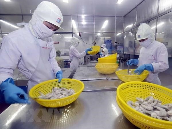 Vietnam trata de ingresar 4,2 mil millones de dólares de camarones exportados - ảnh 1