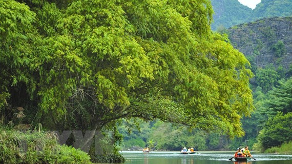 Diario malasio destaca avance de turismo en Vietnam - ảnh 1
