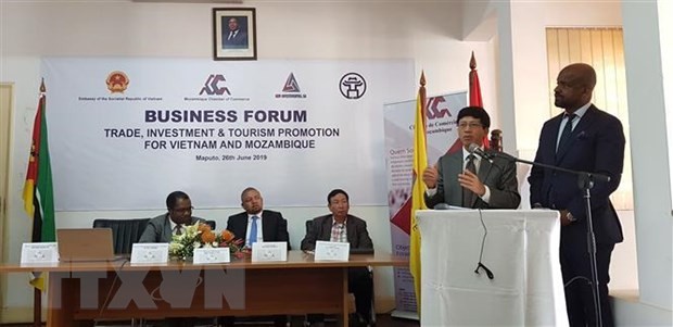 Vietnam y Mozambique promueven cooperación en inversión, comercio y turismo - ảnh 1