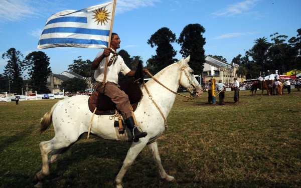 Exportan caballos uruguayos a Singapur - ảnh 1