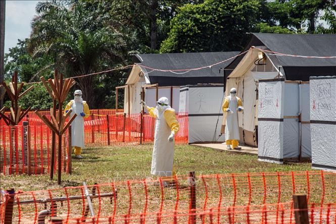OMS declara el ébola como una “emergencia sanitaria mundial” - ảnh 1