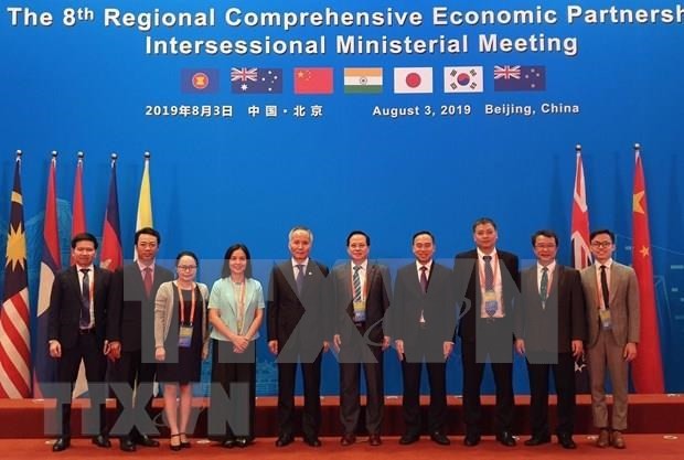 Proyectan firmar Acuerdo de Asociación Económica Integral Regional en Vietnam en 2020 - ảnh 1