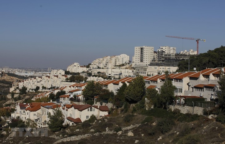 Miembros no permanentes del Consejo de Seguridad de la ONU rechazan construcción ilegal de Israel en Cisjordania - ảnh 1