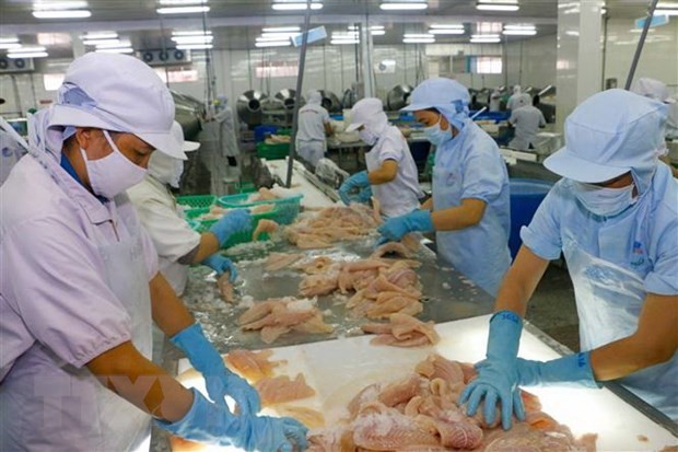 Grandes potenciales de exportación de productos pesqueros vietnamitas a la UE, según expertos - ảnh 1