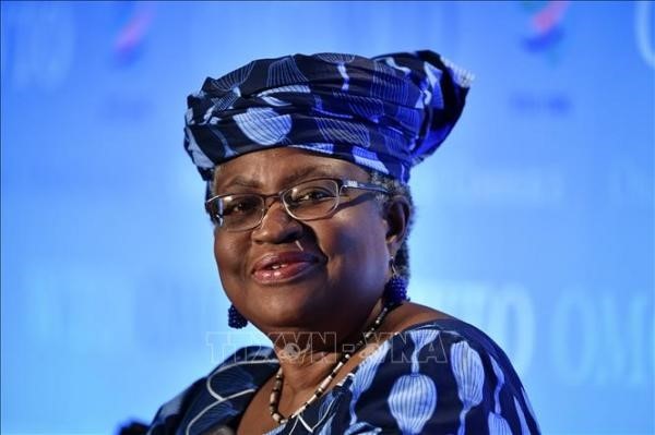 La UE dará su apoyo a la candidata nigeriana Ngozi Okonjo-Iweala para dirigir la OMC - ảnh 1