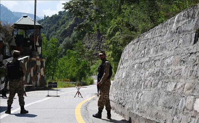 Fuego cruzado entre Pakistán e India en Cachemira deja al menos 14 muertos - ảnh 1