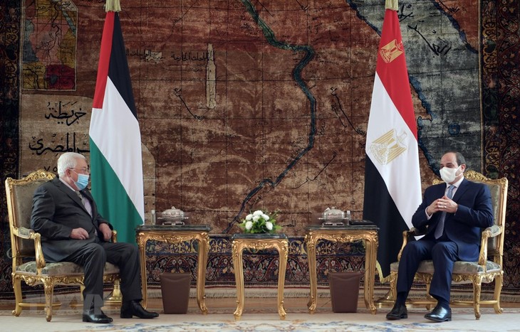 Egipto confirma que seguirá apoyando a Palestina - ảnh 1