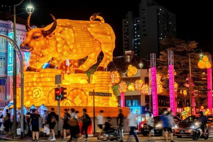 Comunidad asiática celebra Año Nuevo Lunar del Búfalo en medio de covid-19 - ảnh 1