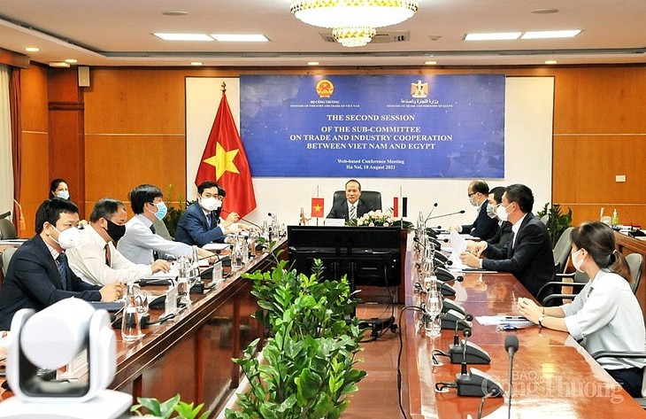 Vietnam y Egipto promueven la cooperación en comercio e industria - ảnh 1