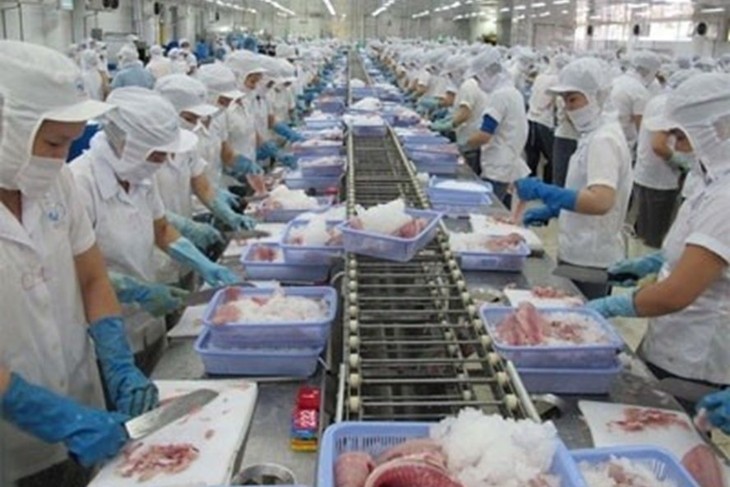 Impacto positivo del EVFTA en las exportaciones de productos acuícolas de  Vietnam - ảnh 1
