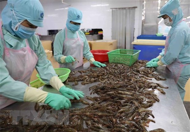 Vietnam reporta un aumento interanual de casi 87% del comercio agrícola - ảnh 1