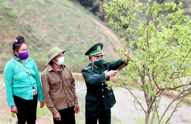 Gobierno de Vietnam promulga Resolución sobre desarrollo socioeconómico en zonas fronterizas terrestres - ảnh 1