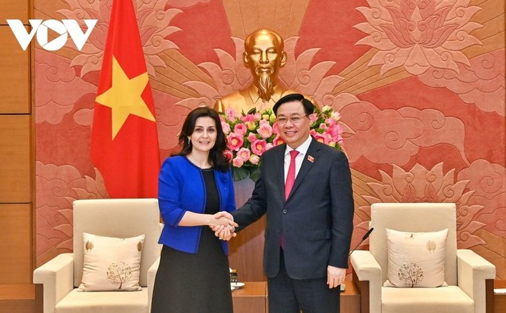 Presidente de la Asamblea Nacional de Vietnam recibe a la embajadora búlgara - ảnh 1