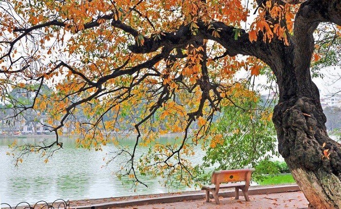 Hanói entre los 12 destinos de otoño más bellos del mundo, según CNN - ảnh 1