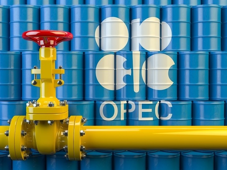 OPEP+ considera reducir drásticamente la producción de petróleo - ảnh 1