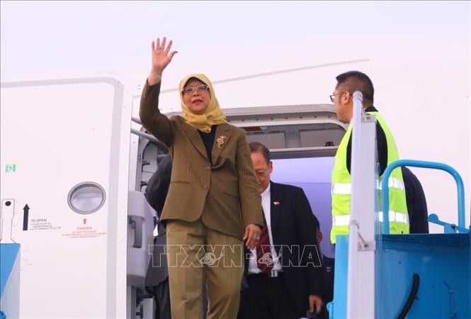 Presidenta de Singapur inicia visita de Estado a Vietnam - ảnh 1