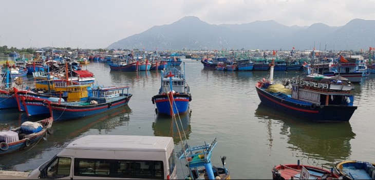 Prosperan los habitantes en la aldea portuaria de Ninh Thuan con la actividad pesquera - ảnh 1