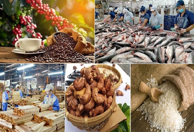 Vietnam ingresa más de 3,7 mil millones de dólares en exportaciones agrosilvícolas y acuícolas - ảnh 1