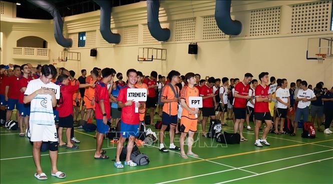 Celebran el mayor festival deportivo de la comunidad vietnamita en Singapur - ảnh 1