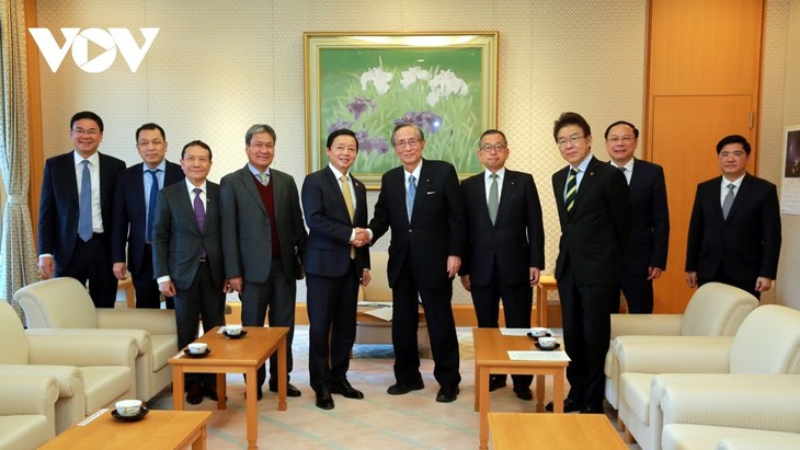 Viceprimer ministro vietnamita trabaja con dirigentes japoneses - ảnh 1