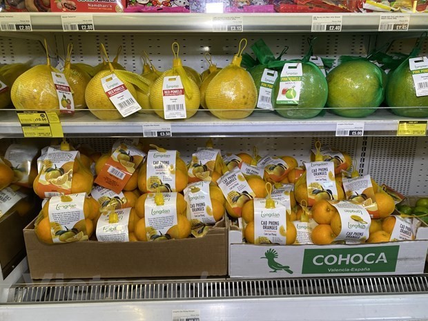 Naranjas vietnamitas Cao Phong a la venta en Reino Unido - ảnh 1