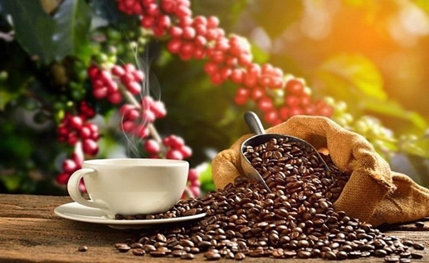 Vietnam, mayor proveedor de café de España - ảnh 1