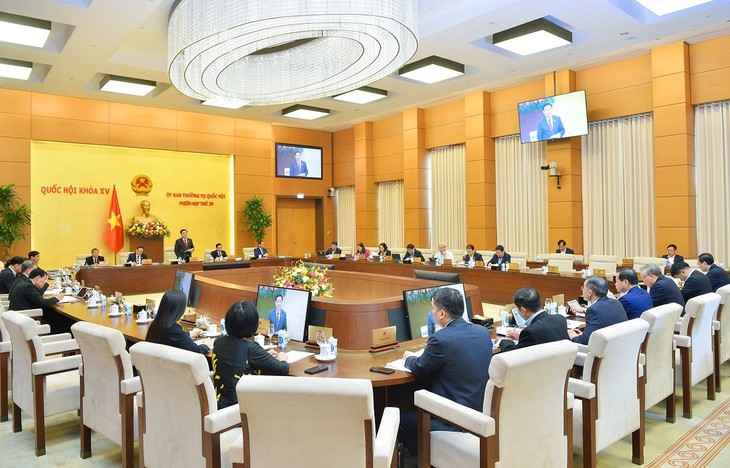 Diputados vietnamitas aportarán opiniones a algunos proyectos de leyes - ảnh 1