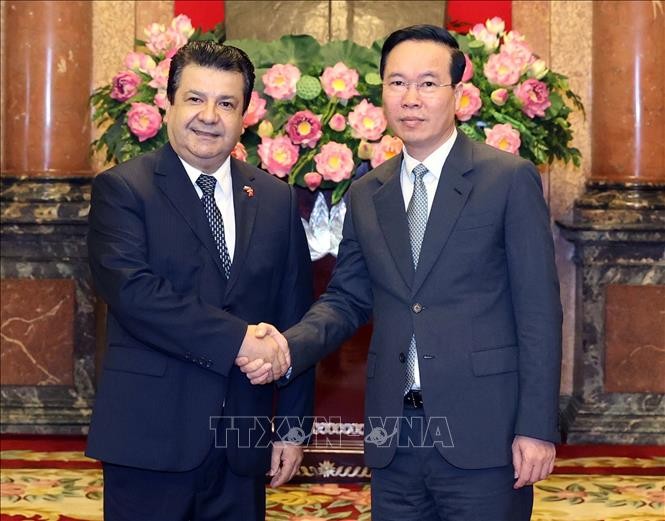 Presidente de Vietnam recibe a embajadores de Chile, UAE y Sri Lanka - ảnh 3