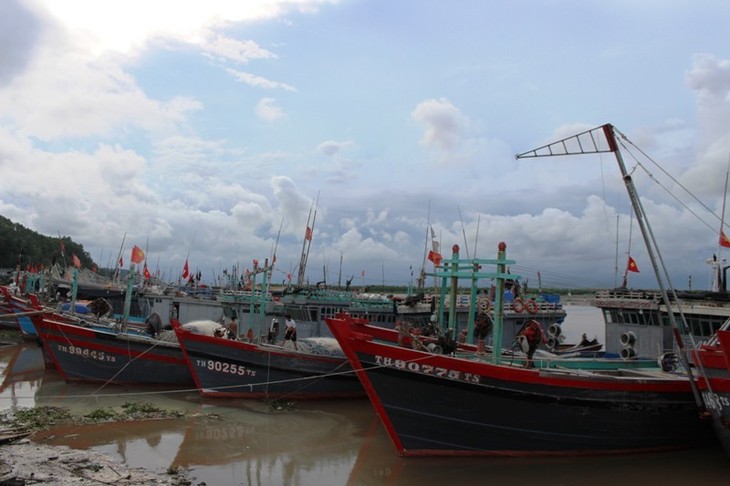 Thanh Hoa promueve propaganda contra la pesca ilegal - ảnh 1
