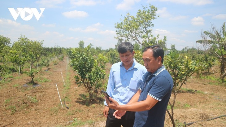 Promueven la transformación digital en la agricultura en Soc Trang  - ảnh 1