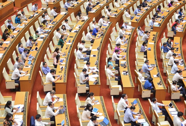 Parlamento vietnamita continúa analizando proyectos de leyes importantes - ảnh 1