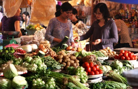  Vietnam se esfuerza por garantizar el bienestar social en 2012 - ảnh 2