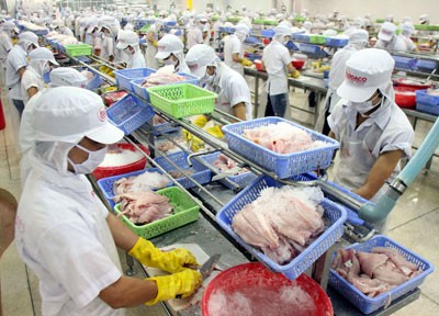 Vietnam proyecta lograr 2 mil millones de dólares de exportación de pescados Tra - ảnh 1