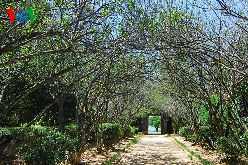 Visitar las casas con jardines de Hue - ảnh 1