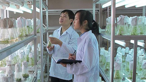 Vietnam reserva más capital para la aplicación científico-técnica - ảnh 1