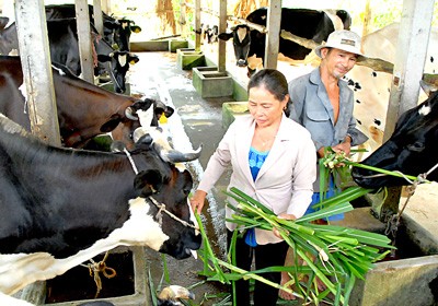 Enseñanza de oficios para los trabajadores en el campo vietnamita  - ảnh 2