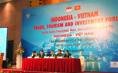 Vietnam-Indonesia: cooperación por la prosperidad - ảnh 1