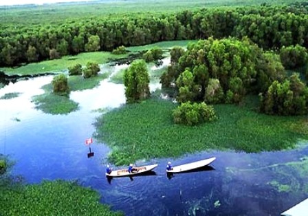 Descubrir el delta del río Mekong - ảnh 3