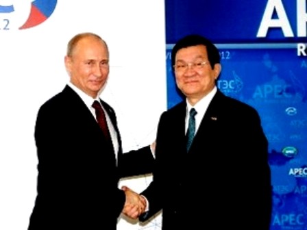 APEC 20: nuevo impulso para la cooperación regional - ảnh 1