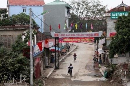Hanoi pone en juego democracia para construir nueva área rural - ảnh 1
