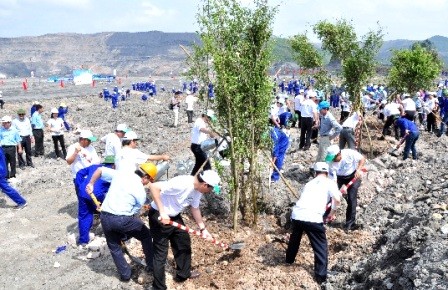 Vietnam fomenta la protección ambiental en bien de un desarrollo sostenible - ảnh 1
