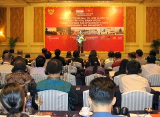 Perspectivas de avance en el intercambio comercial entre Vietnam e Indonesia - ảnh 1