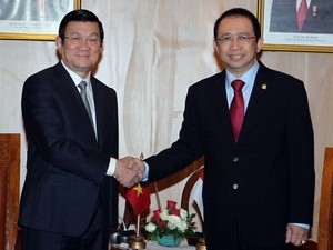 El presidente vietnamita considera el progreso de la cooperación con Indonesia - ảnh 1