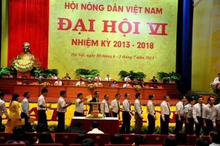 Asociación de agricultores de Vietnam presenta nuevo comité directivo  - ảnh 1
