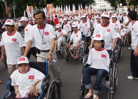 Vietnam prepara conmemorar Día para las víctimas del agente/naranja - ảnh 1