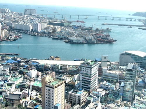 Vietnam considera experiencias de Corea del Sur hacia desarrollo sustentable - ảnh 1