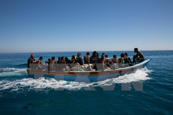 Egypt foils attempt of smuggling people to Europe - ảnh 1