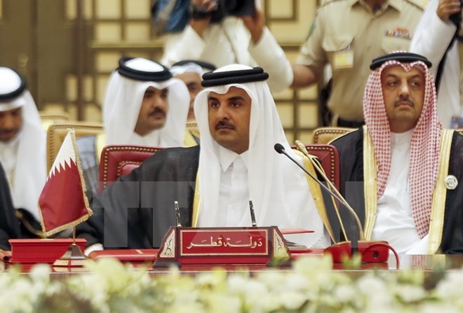 Qatar leader urges end to trade embargo - ảnh 1